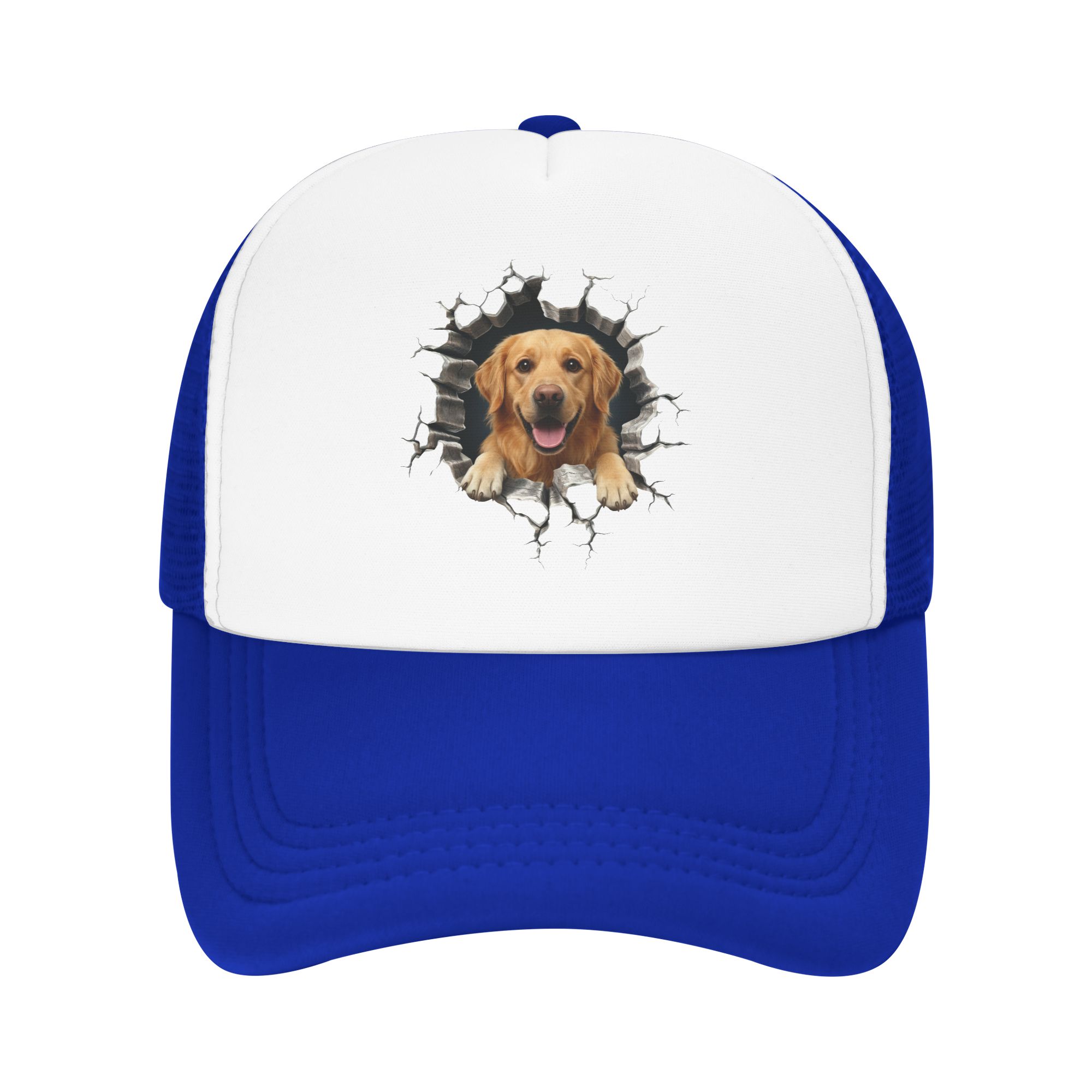 Topi Bisbol Golden Retriever u - Hat Snapback Cap ulasan dan harga