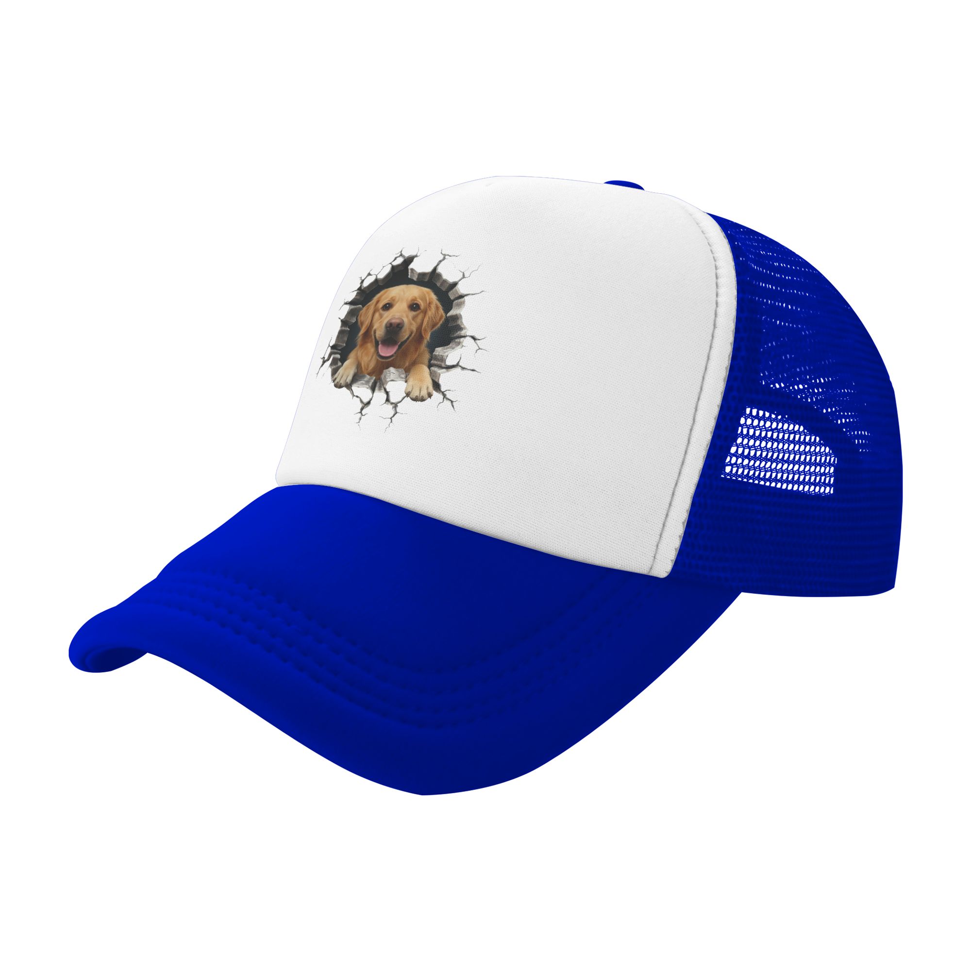 Topi Bisbol Golden Retriever u - Hat Snapback Cap ulasan dan harga